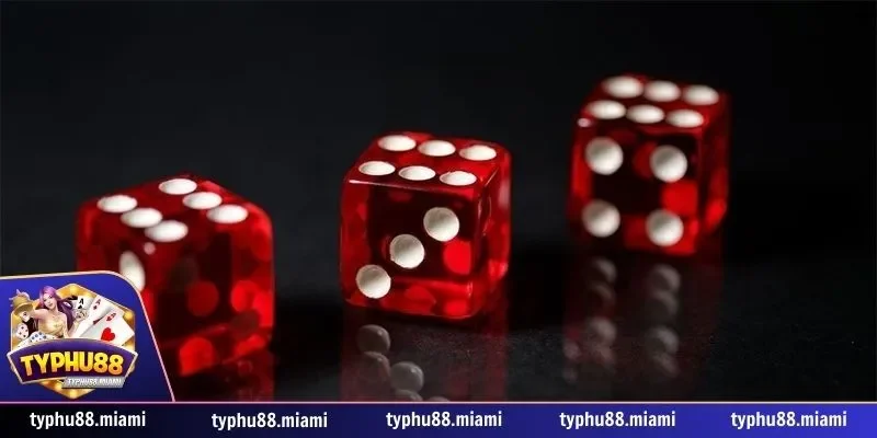 Bí kíp chơi Tài xỉu ăn tiền từ cao thủ